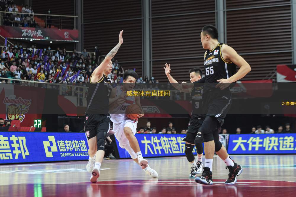 威莱体育直播间(威莱体育直播间全新上线 体验精彩赛事直播)